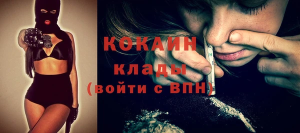 шишки Богородск