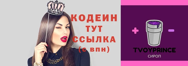 шишки Богородск