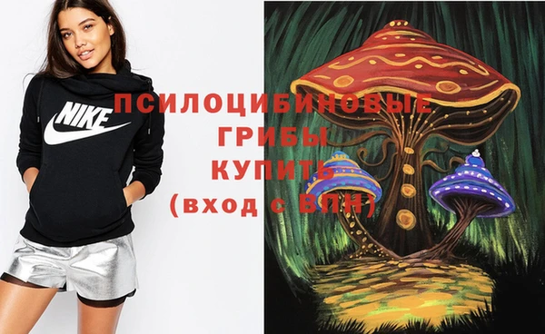 кокаин Богородицк