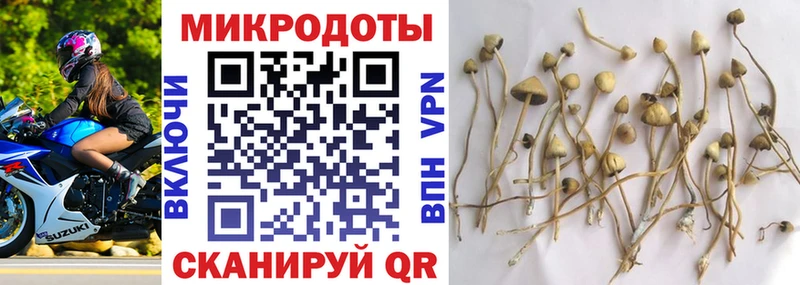 Галлюциногенные грибы мицелий  Саранск 